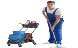 Cleaner